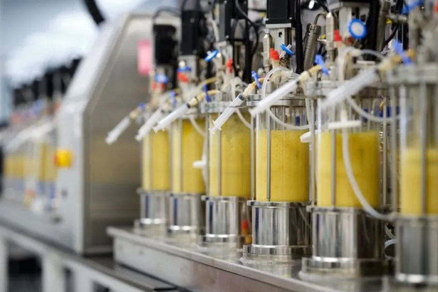 Jars on the right hand side filled with a yellow substance.